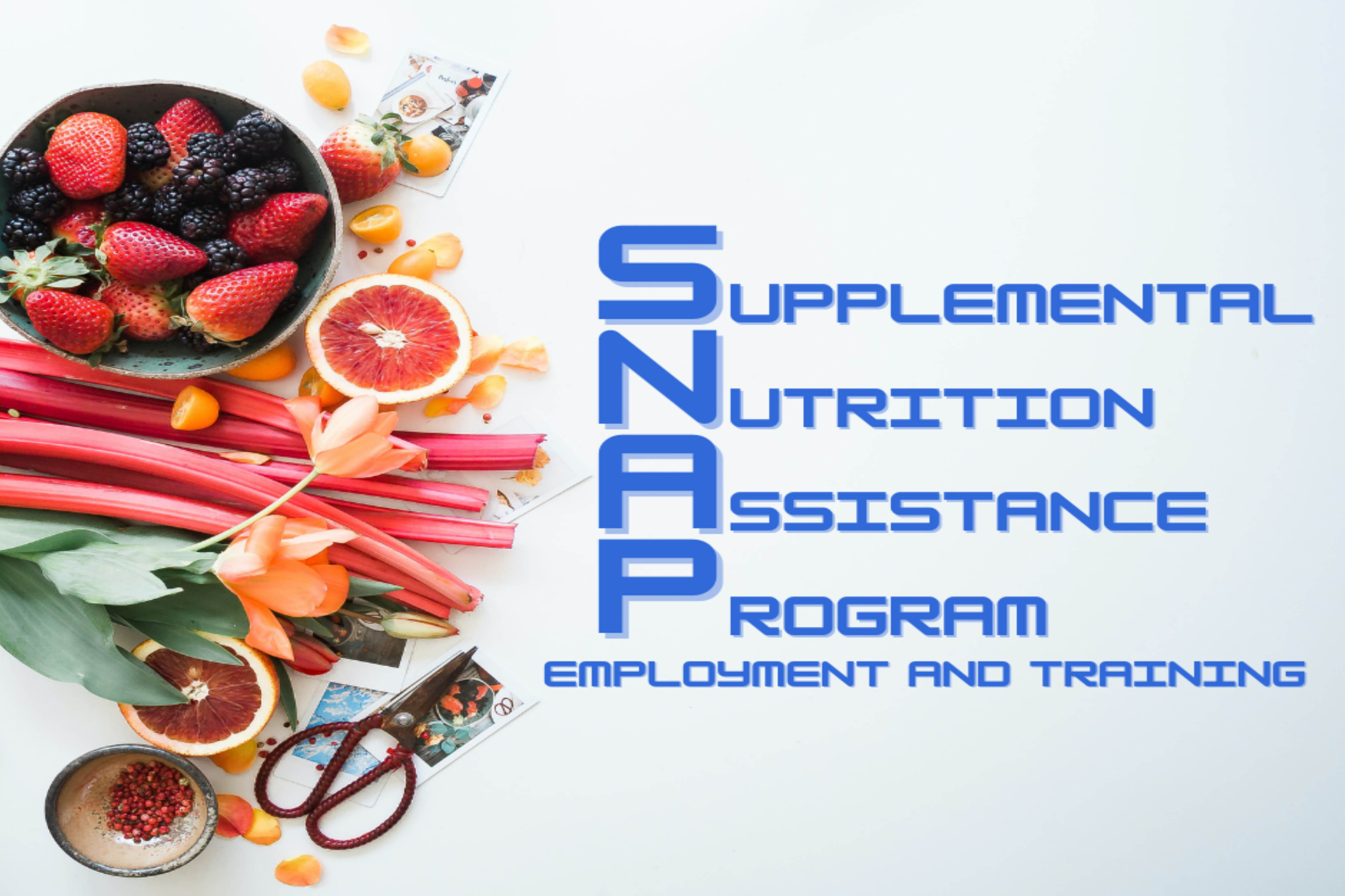 SNAP Employment and Training